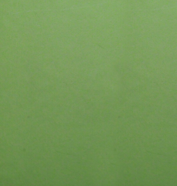和紙 菊すき込み 黄緑